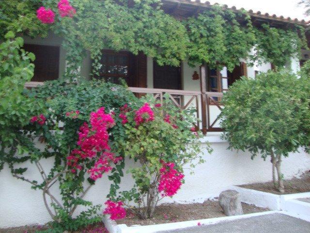 Sonia Studios Nees Kidonies Oda fotoğraf