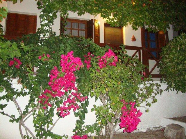 Sonia Studios Nees Kidonies Oda fotoğraf