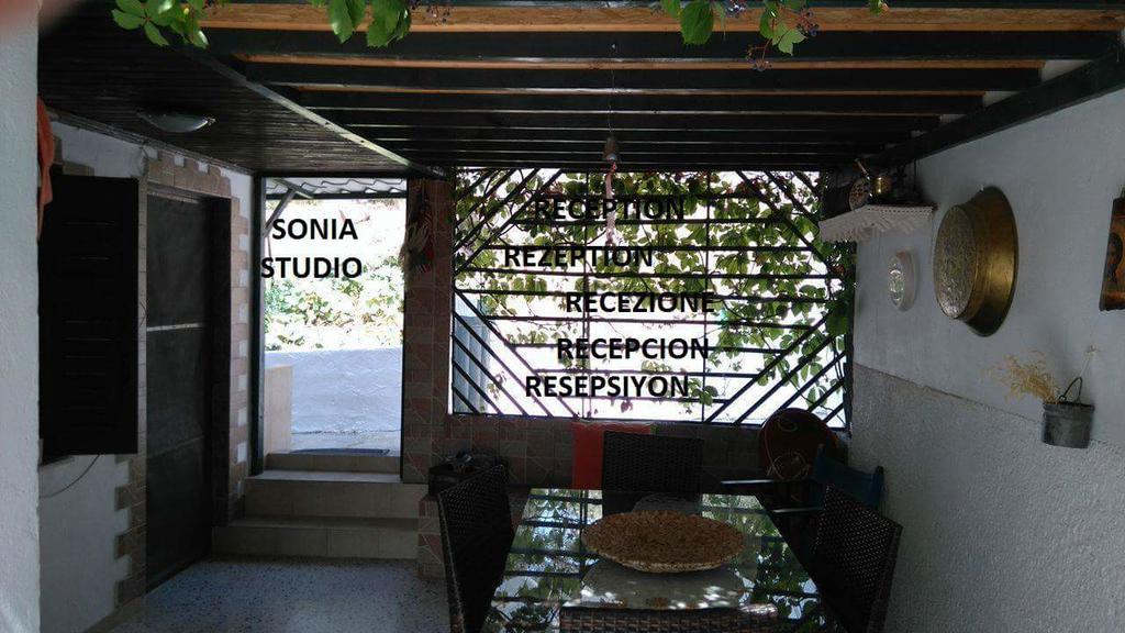 Sonia Studios Nees Kidonies Dış mekan fotoğraf