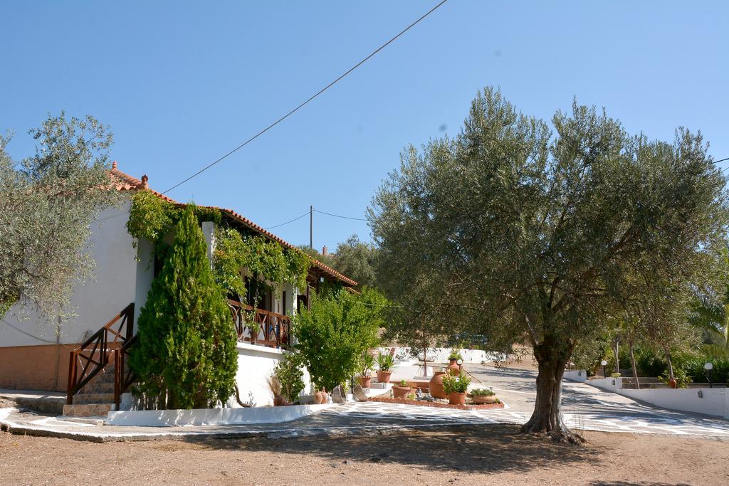 Sonia Studios Nees Kidonies Dış mekan fotoğraf